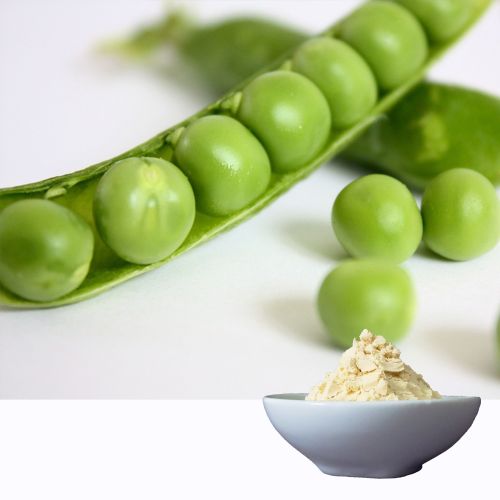 Pea Protein 85%