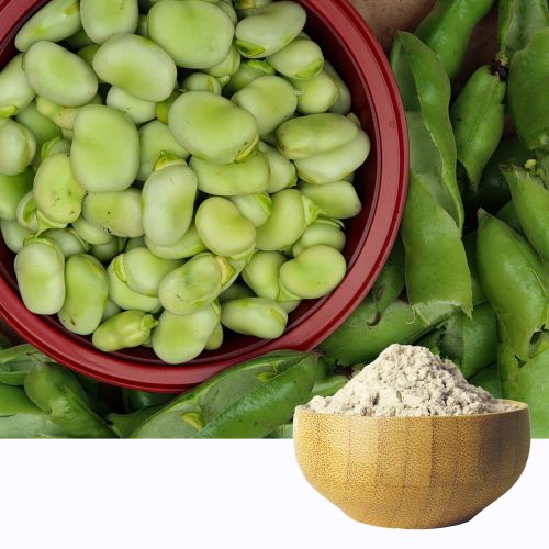 Fava Bean Protein 90B