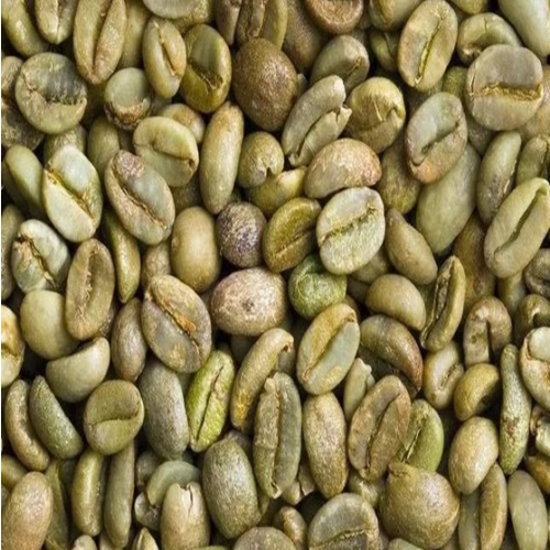 Green Coffee Bean Extract (Total chlorogenic acid ≥50.0%)